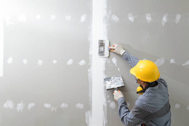 Best Emergency Mold Remediation  in Parker, AZ