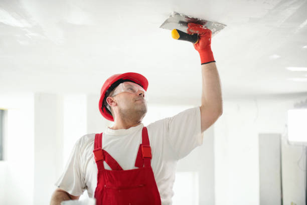 Mold Remediation for Vacation Homes in Parker, AZ