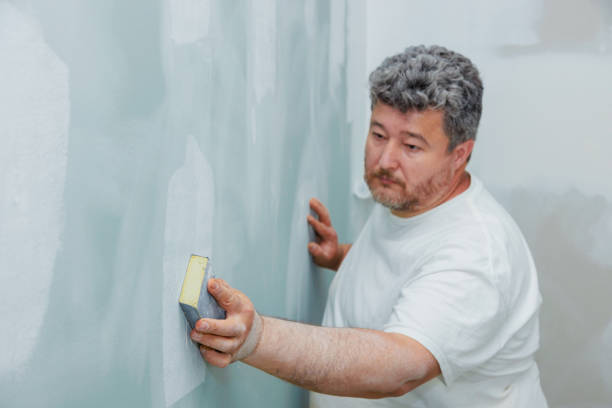Best Black Mold Removal  in Parker, AZ