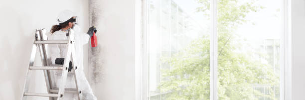 Best Indoor Air Quality Assessment  in Parker, AZ