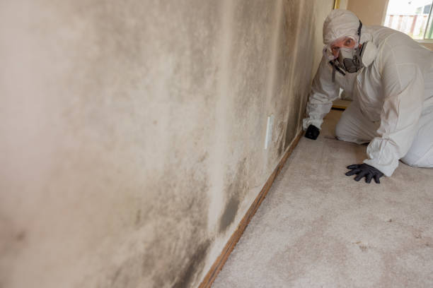 Best Residential Mold Inspection & Testing  in Parker, AZ