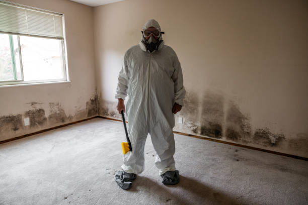 Best Biohazard Mold Removal  in Parker, AZ