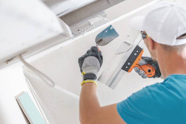 Best Environmental Consulting for Mold Prevention  in Parker, AZ